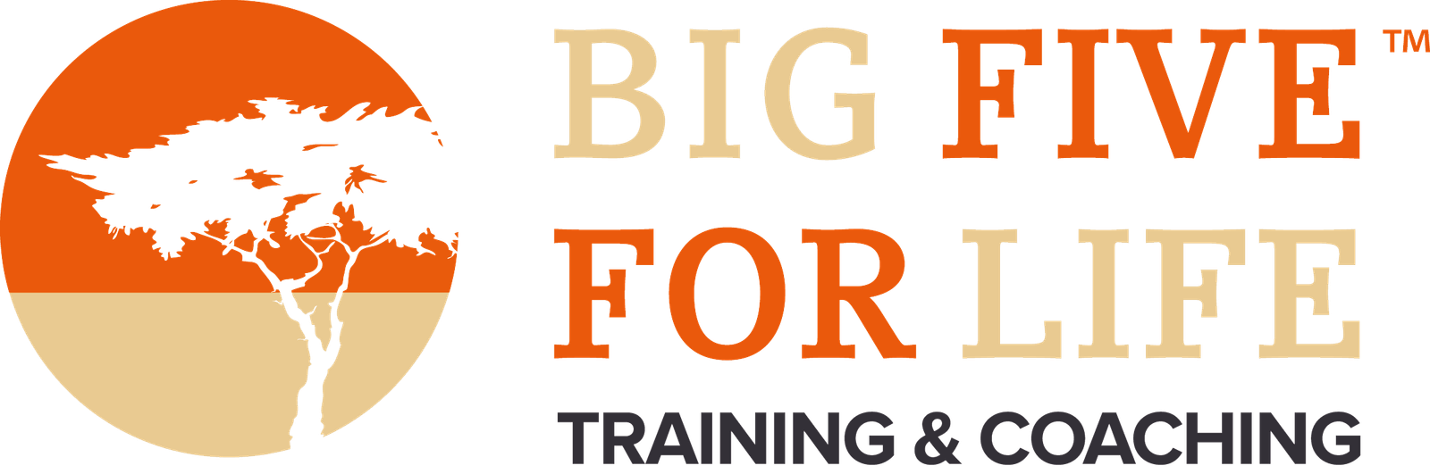 logo met pay off transparant